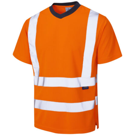 BRAUNTON LEO ECOVIZ® PERFORMANCE T-SHIRT CODE: T02-O-LEO